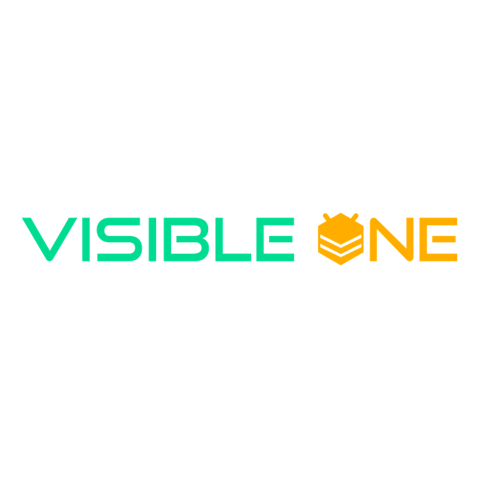 Visible One logo